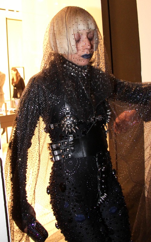 Lady Gaga, Hollywood celibrity