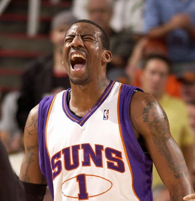 Amare Stoudemire, basketball player