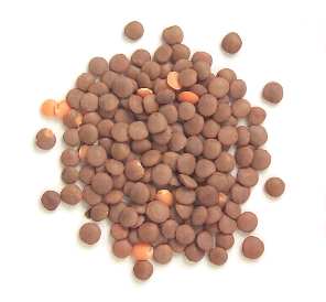 kinds of lentils