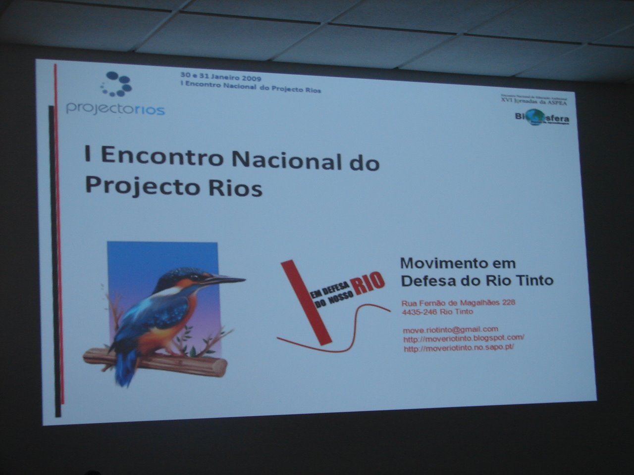 [DSC07303.JPG]