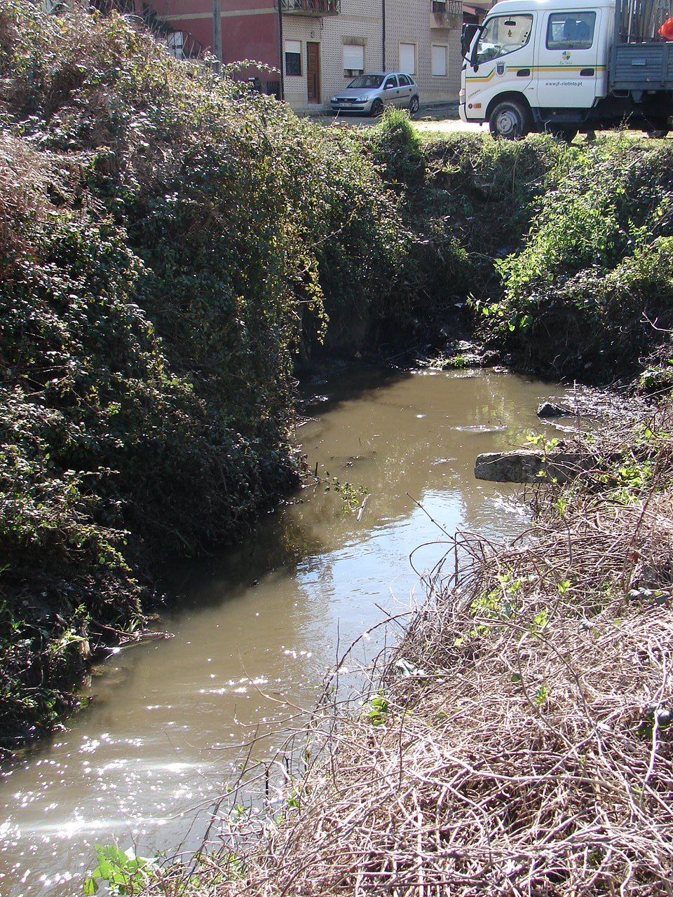 [DSC07515.JPG]
