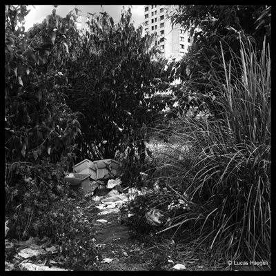 Les déchets