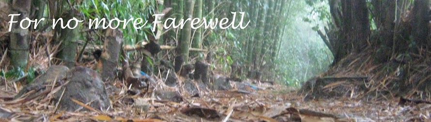 For no more Farewell