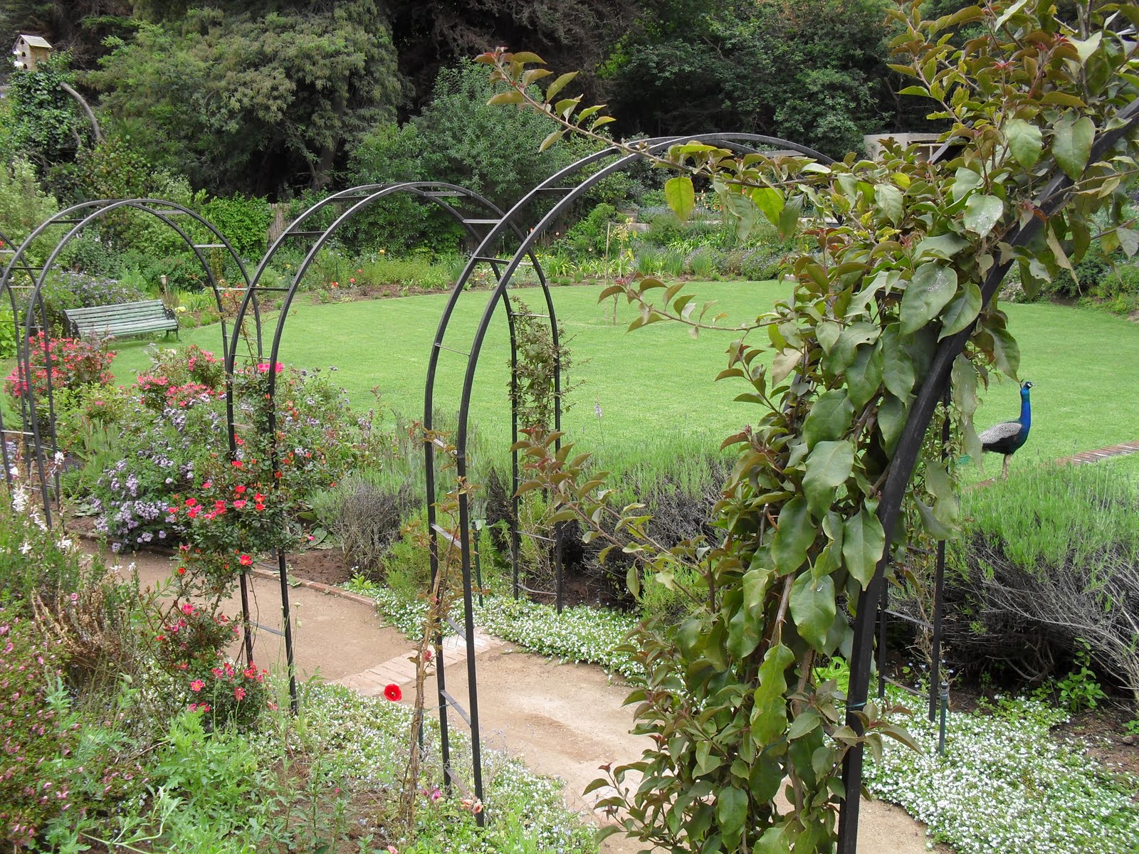 Pedro Alemparte Estructuras Metalicas: Arcos Jardín