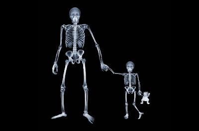 Airport+security+scanning