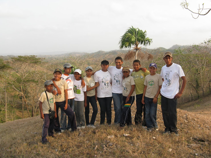 grupo de observadores de aves nuevo nariño