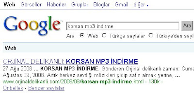 http blog yilmazbaris com 2008 12 google zeitgeist 2008 facebook indir html