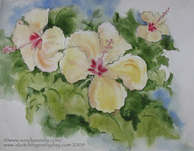 Here's watercolor pigment added to my Hibiscus Flower Drawing from Wednesday