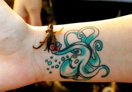 octopus tattoo imageswonderfull tattoo