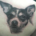 Animal tattoo-show our love with animals
