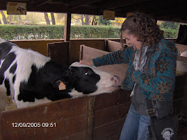 Pon una vaca en tu vida