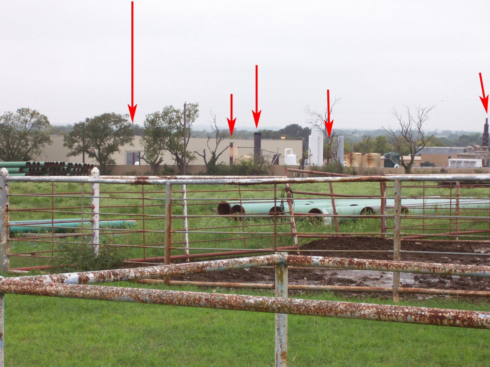 [DISH-10-12-09-001.jpg]