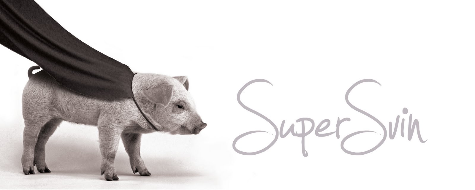 SuperSvin
