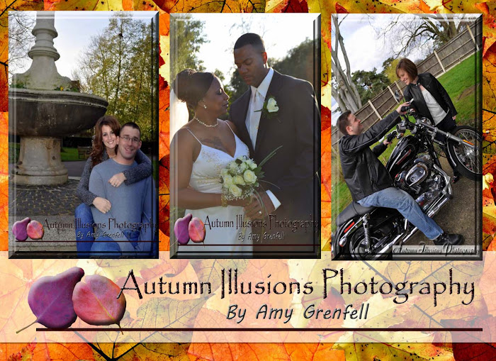 Autumn Illusions Photography