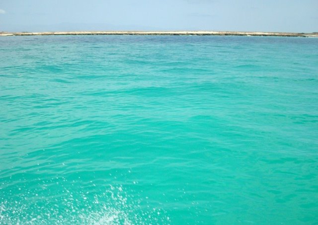[DSC00712.JPG]