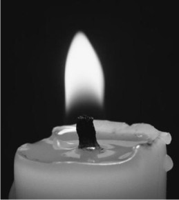 Lilin Putih | Lilin Merah | Lilin Sembahyang: Anda membutuhkan Lilin