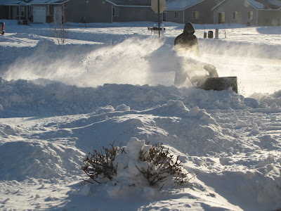 Blowing Snow in Minnesota
