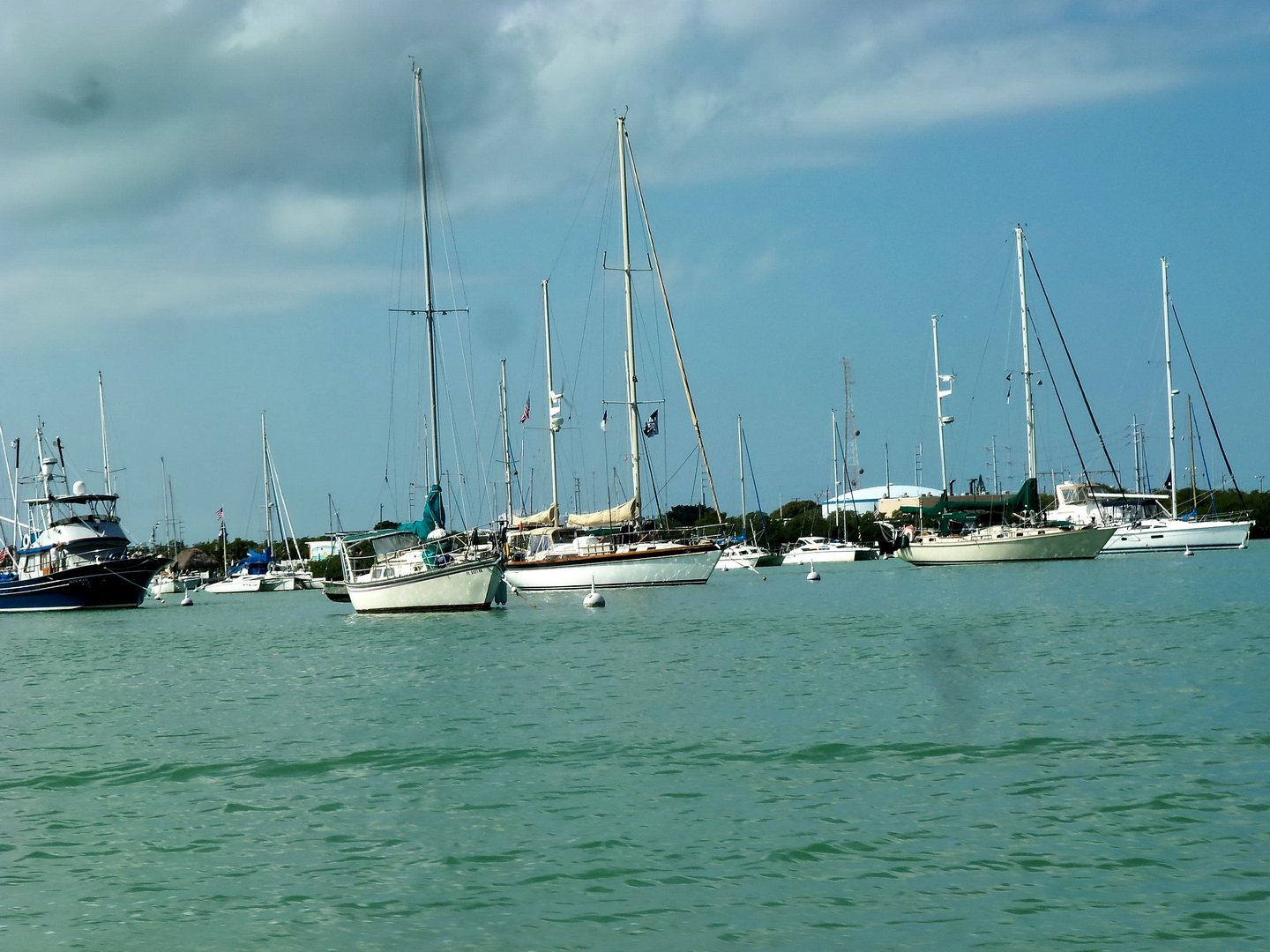 Tony M Trawler January 2011