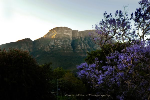 [LastLightTableMountain.jpg]