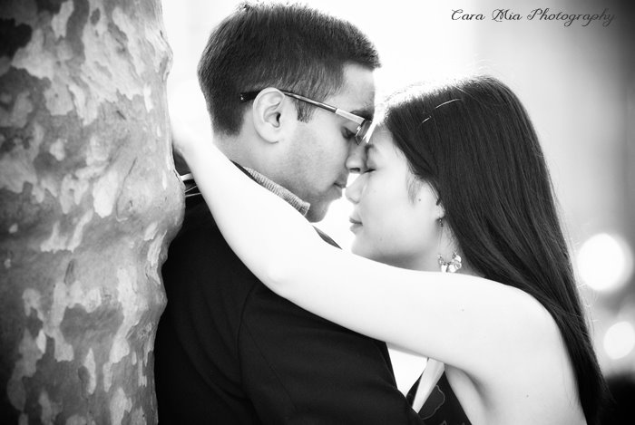 [CCG_0759+copy+2.jpg]