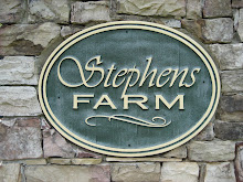 Stephens Farm-Canton Georgia