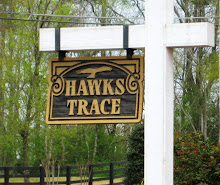 Hawks Trace