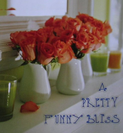 aprettyfunnybliss