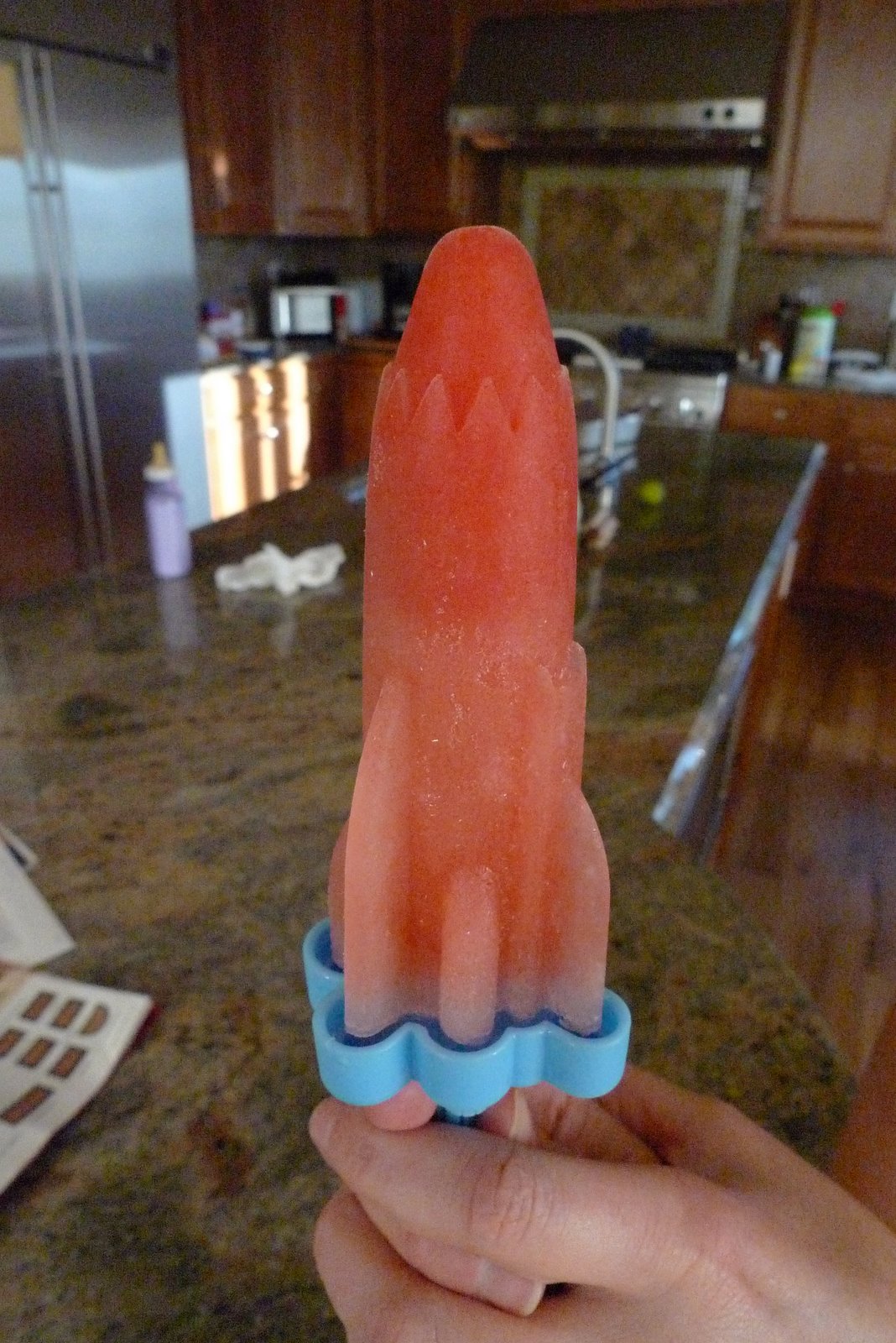 [Watermelon+poopsicles+003.jpg]
