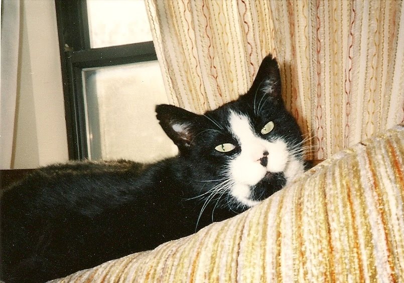 [scan0103.jpg]