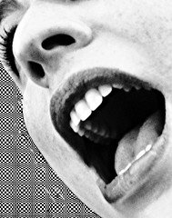 [446084326_03616c988c_m.jpg]