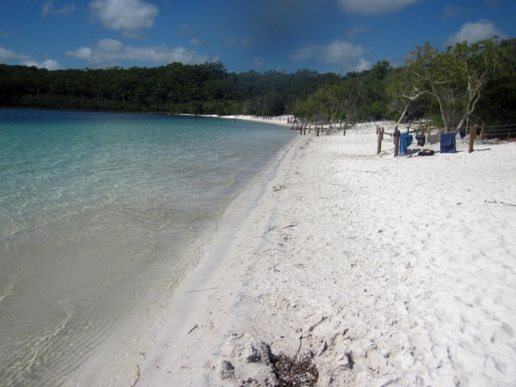 Swimming Lake McKenzie, Fraser Island, Queensland 25 Jan 2011