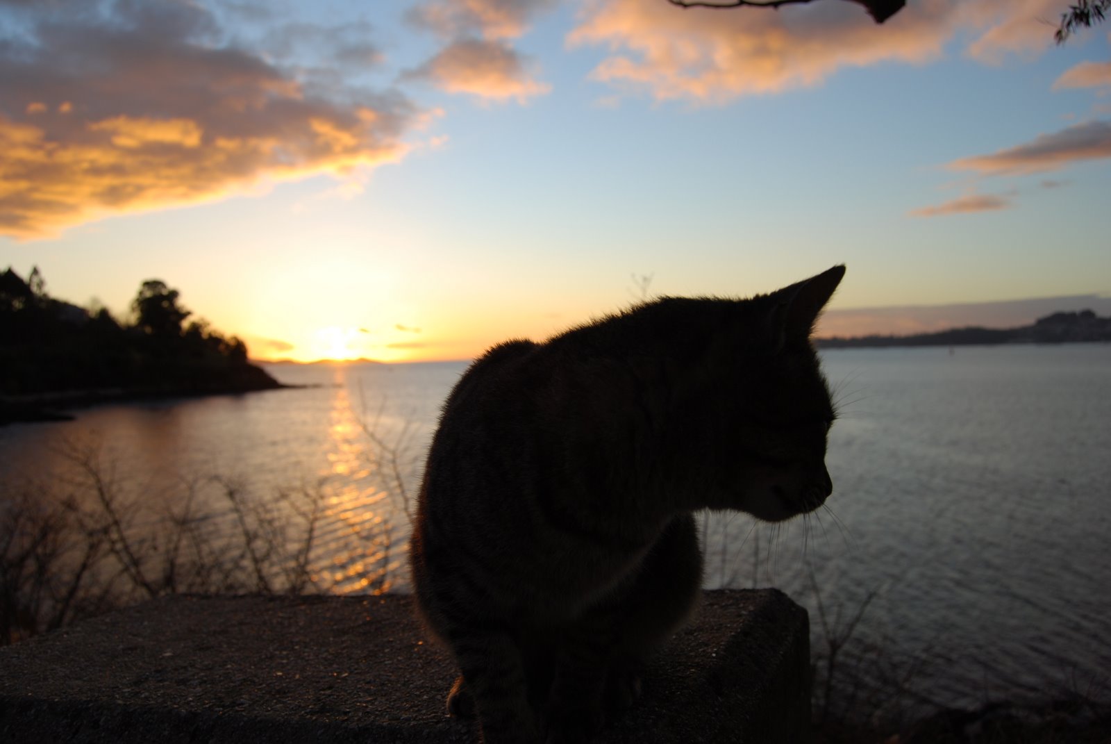 [DSC_0571.JPG]