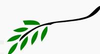 Olive Branch