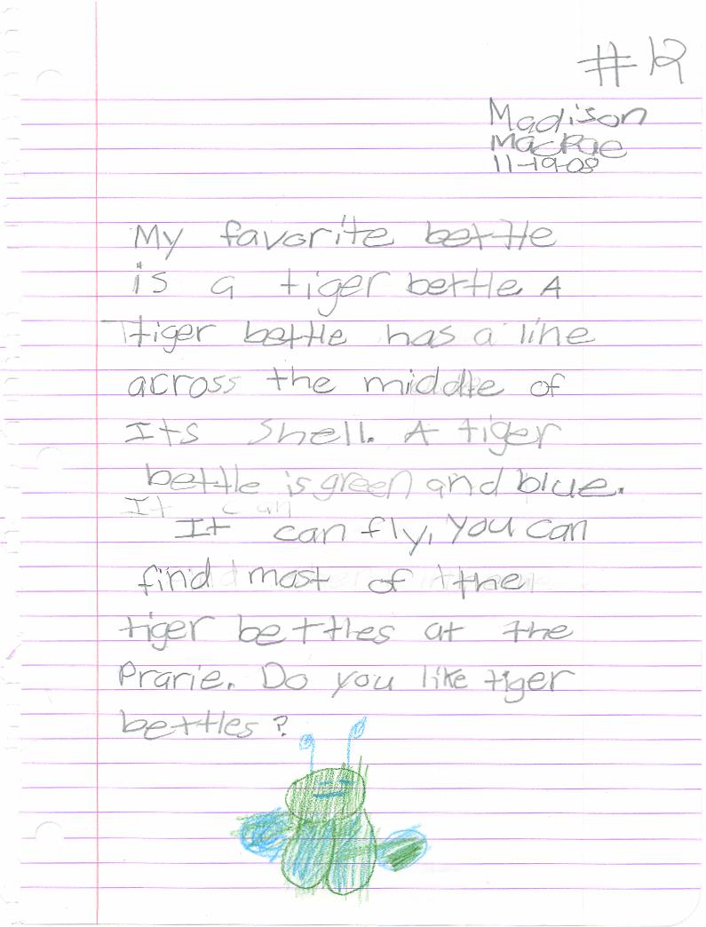 [My+favorite+bettle.JPG]