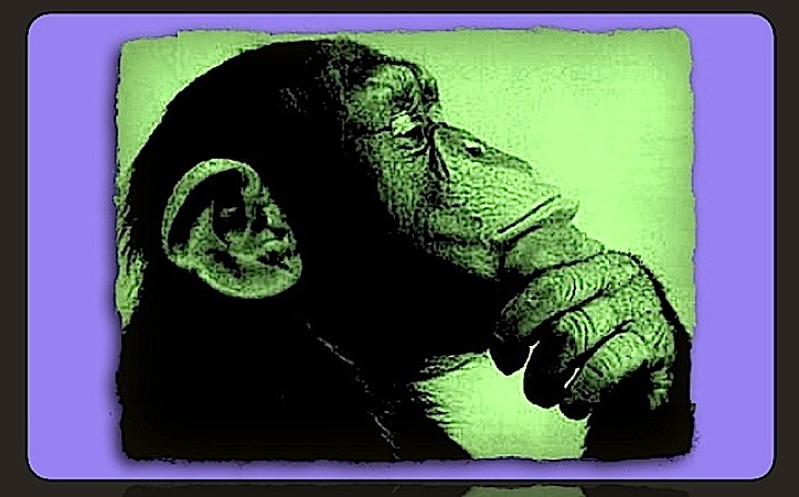 Philosophylogblog