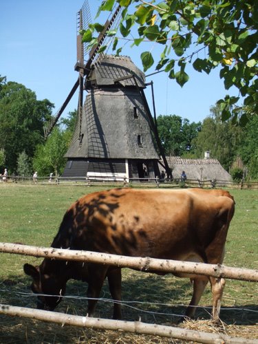 [Windmill+in+Denmark+.jpg]