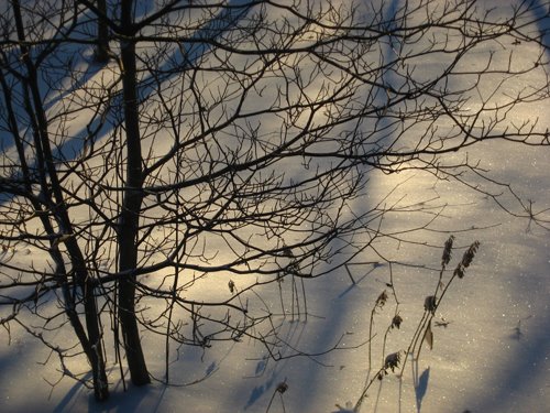 [Winter+Light+.jpg]