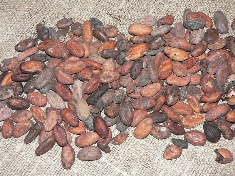 [800px-Cocoa_beans_P1410151.JPG]