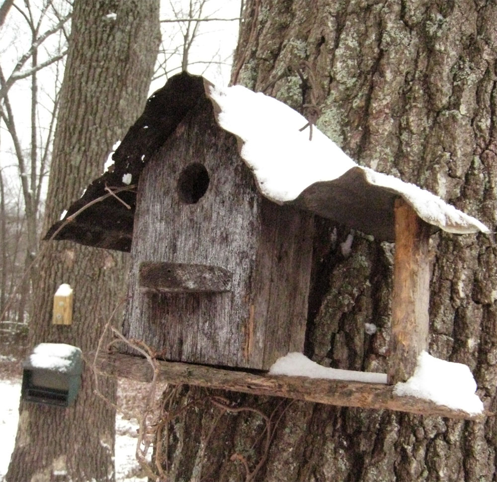 Gardening Tips for Small Spaces Bird Houses in the Snow