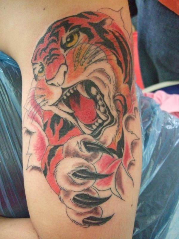 A Tiger Tattoo Design with colored head and black and white backward