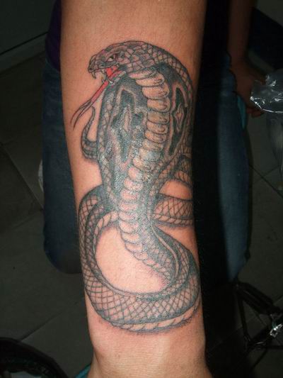 forget me not tattoos. Cobra Tattoo images Cobra