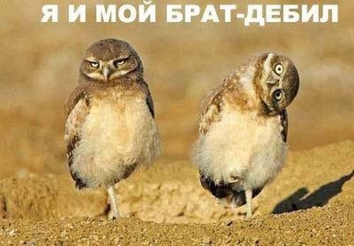 [18345110_x_af448c43.jpg]