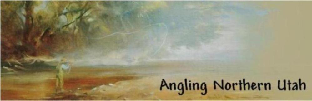 Anglers Angle