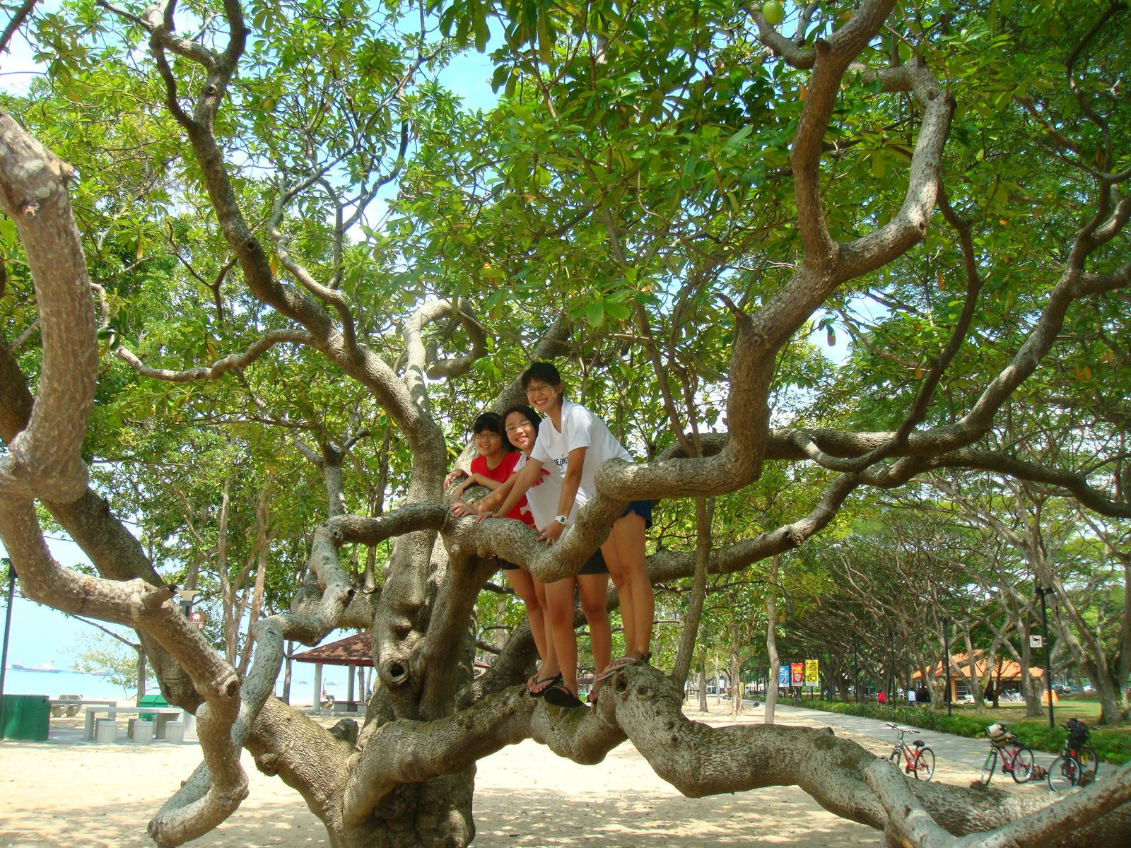 [DSC05405.JPG]