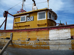 Barco pesquero Caleta Cordoba