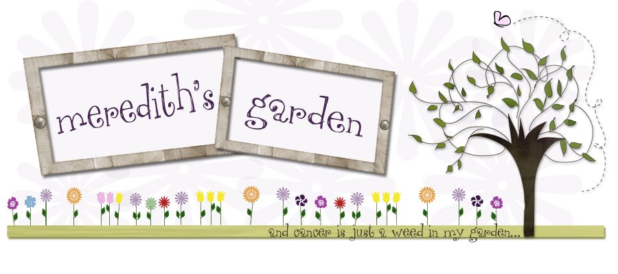 meredith's garden