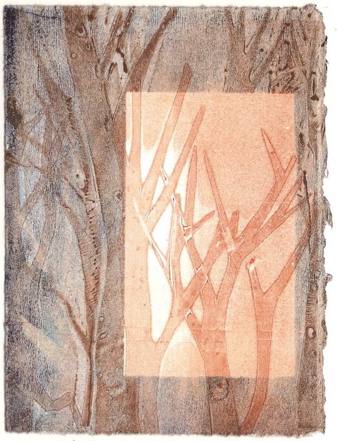 [forest+and+rectangle+resize.jpg]