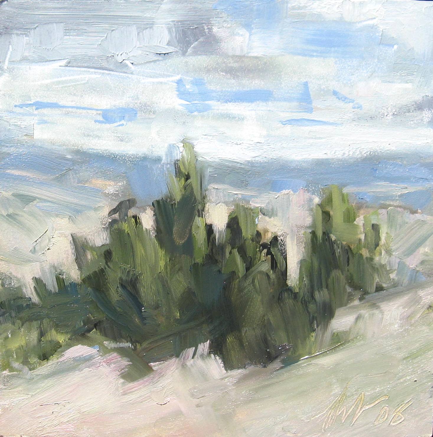 [juniper+view+study.JPG]