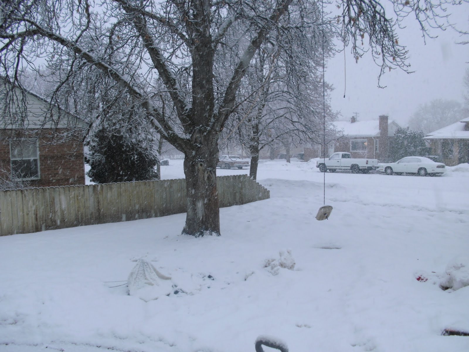 [snow2.JPG]