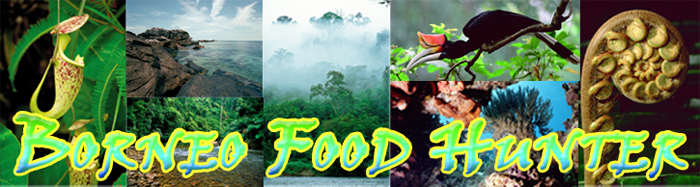 Borneo Food Hunter